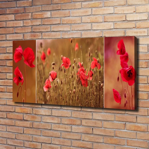 Tulup dipinto tela - tela, pittura