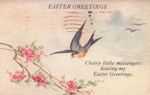 Auguri pasqua ciliegio - pasqua,