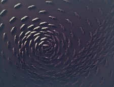 opera unica Riccardo Gusmaroli 44x56 Cm Barche Di Carta Su Tela 2023