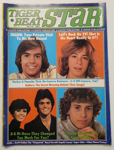 Tiger beat star dec 1977 - beat,