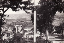 #CAMPO DI GIOVE: VIALE
