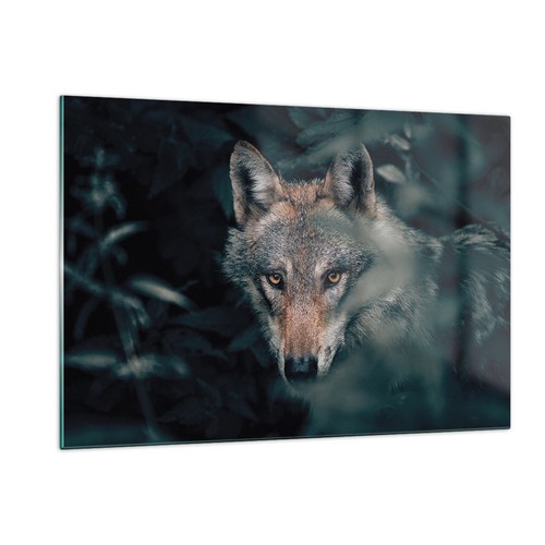 Quadro vetro 120x80cm lupo - quadro, su