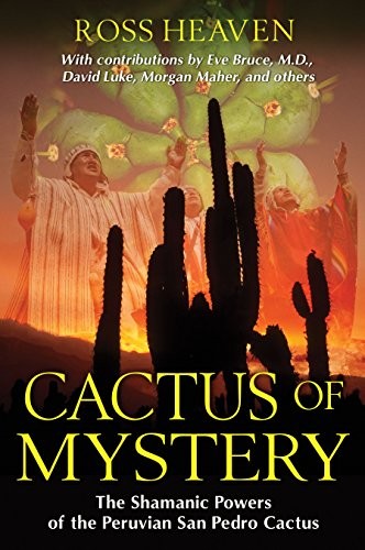 Cactus mystery the - mystery:,