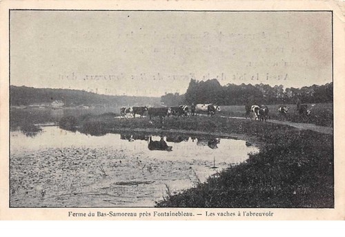53122 bas samoreau - 77.n, bas-samoreau