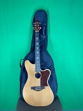 Chitarra elettrica artigianale - chitarra,