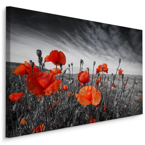 Quadri tela canvas xxl - tela,