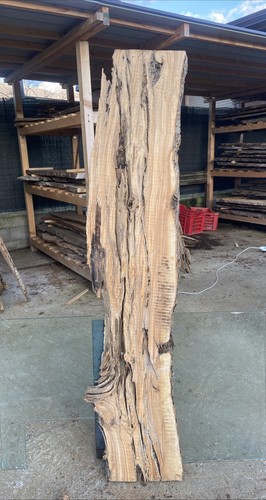 Tavola legno ulivo 171 x - di,