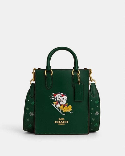 Disney coach north south - disney,