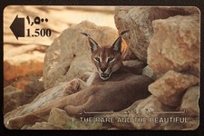 A826 Phone Card OMAN,OMAN-GPT-Rare Replacement Control - 13OMNA-Caracal Lynx