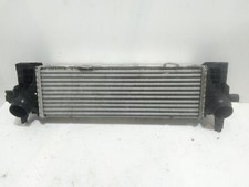 Intercooler per Bmw X6 Serie (G06) (19gt) (2019   In produzione)
