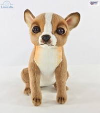 Mini peluche chihuahua - mini, di