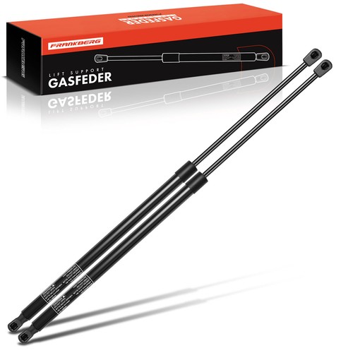 Gas portellone - 2x,