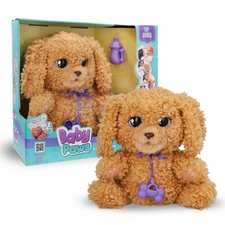 Labradoodle, Cucciolo