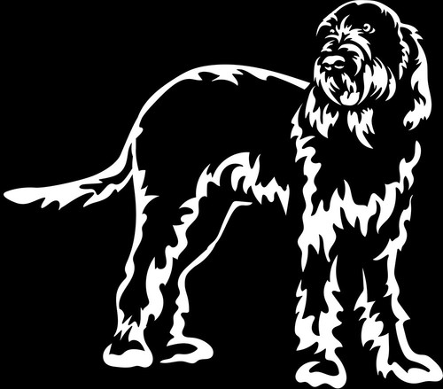 Adesivo spinone italiano - adesivo,
