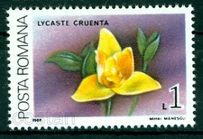 1988 Orchidea, Orchidea - Lycaste cruenta / Messico, America Centrale - Romania, MNH