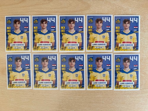 Panini pro league 2024 - panini,