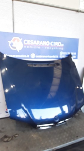 Cofano ant 41617042893 - ant.,