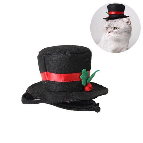 Accessori per gatti - accessori,