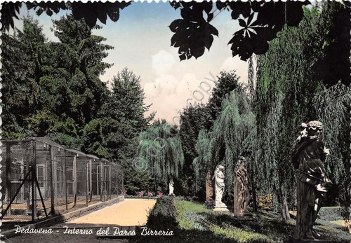 Cartolina postcard - postcard,
