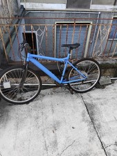 bicicletta uomo 6 mesi di vita 