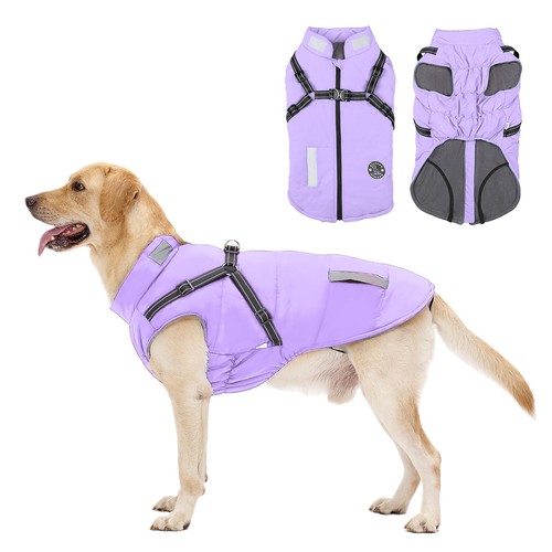 Cappotto cane invernale - cappotto,