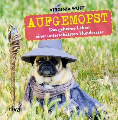 Aufgemopst virginia wuff - virginia,