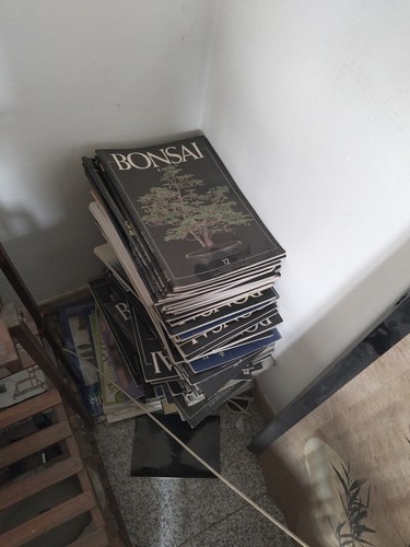 Riviste bonsai news - news,