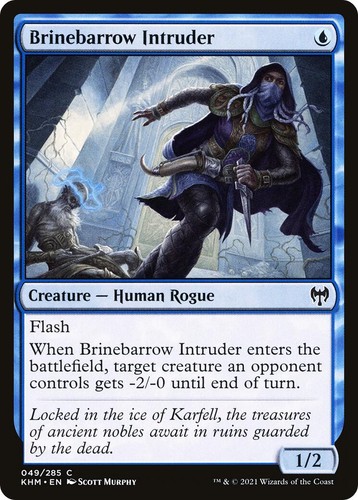 Foil brinebarrow intruder - foil,
