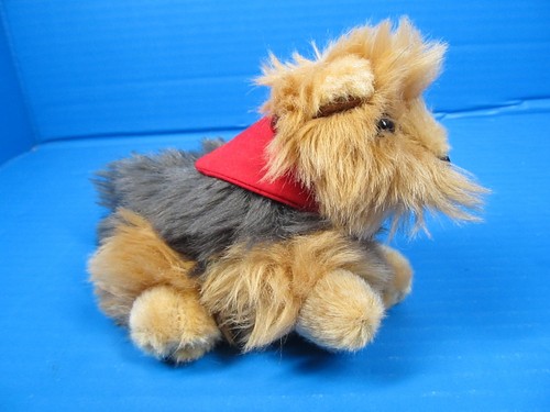 Costruisci orso kennel pals - costruisci,
