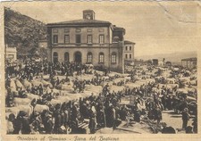 Abruzzo Teramo Montorio al Vomano. Fiera del bestiame FG