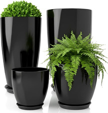 Vasi per Piante Di Diametro