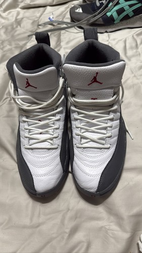 Nike air jordan retro - 12,