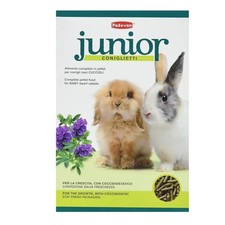 MANGIME CONIGLI NANI CUCCIOLI