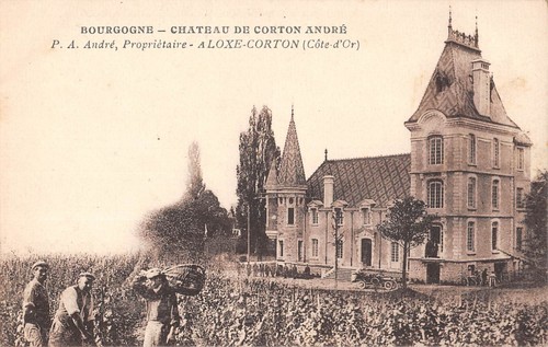 Cpa aloxe corton chateau - cpa, 21