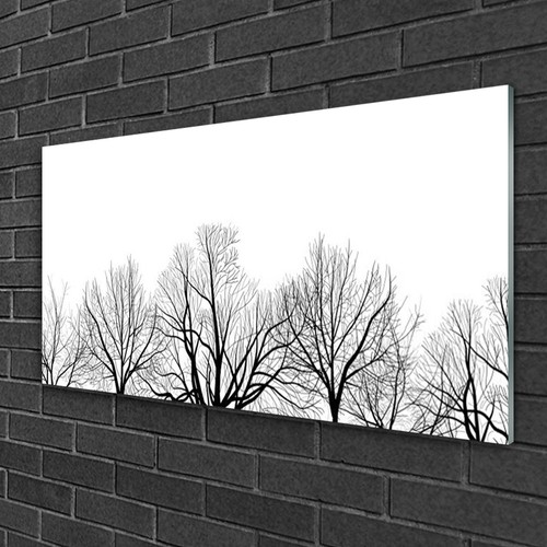 Quadri vetro 100x50 - vetro, quadro