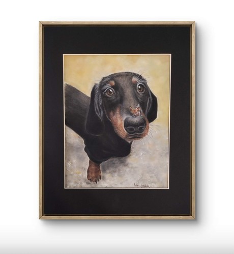 Bassotto cane originale x - bassotto, 14