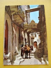 (FG.Q86) VICO GARGANICO - VIA MICHELE CILENTI animata cavallo (VICO DEL GARGANO)