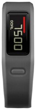 Garmin Vivofit Fitness Band