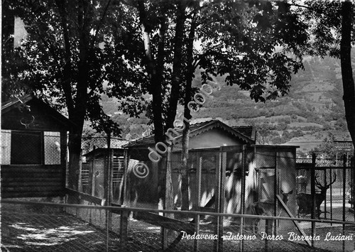 Cartolina postcard - -,