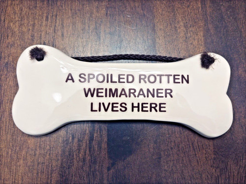 Weimaraner marcio viziato vive