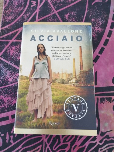 Libro acciaio silvia - acciaio, di
