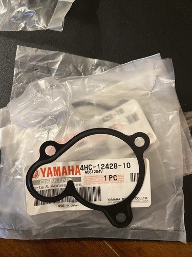 Guarnizione yamaha max - guarnizione,
