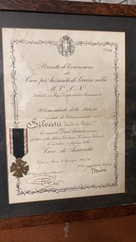 Medaglia anni nella mvsn - medaglia, 10