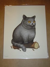 Mike Mitchell Fat Kingdom