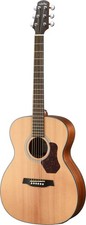 WALDEN O550E Natura Orchestra elettroacustica