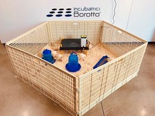 RECINTO SVEZZAMENTO PER 50