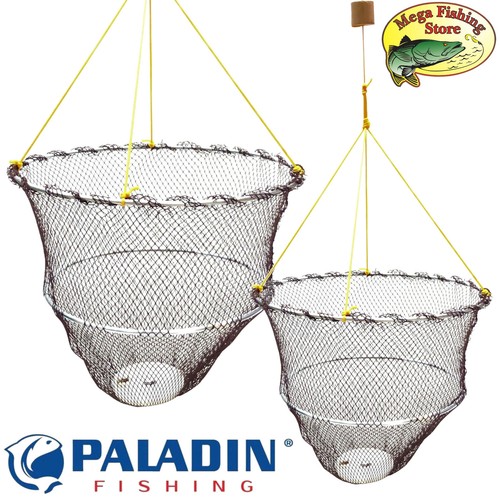 Paladino piatto per cancro - paladino,