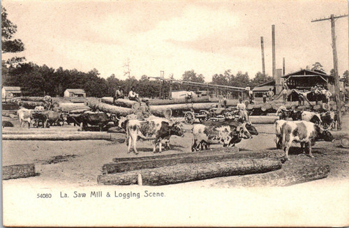 Louisiana segheria e scena - -,