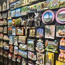 Siti Storici "Viaggi nel