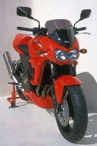 Kawasaki z1000 06 - kawasaki, 03/06